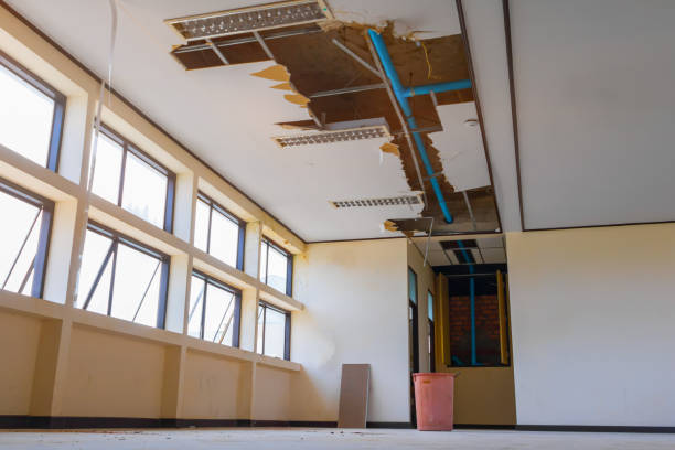 Best Carpet water damage restoration  in Red Lodge, MT