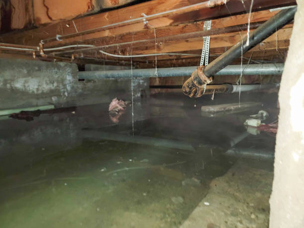 Water damage restoration process in MT