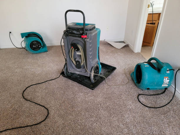 Best Flooded house restoration  in Red Lodge, MT