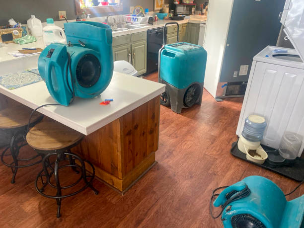 Best Sewage cleanup and water damage restoration  in Red Lodge, MT