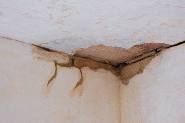  Red Lodge, MT Water damage restoration Pros