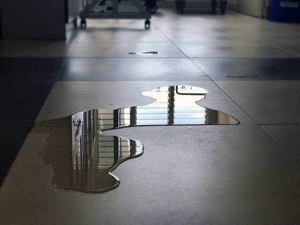 Professional Water damage restoration in MT