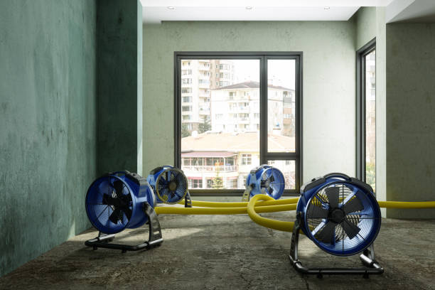 Best Residential water damage restoration  in Red Lodge, MT